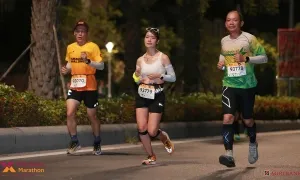 Những yếu tố làm nên sức hút của VM Hạ Long Những yếu tố làm nên sức hút của VM Hạ Long